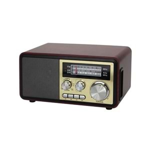 Ns-8093Bt Bt/Fm/Usb Speaker