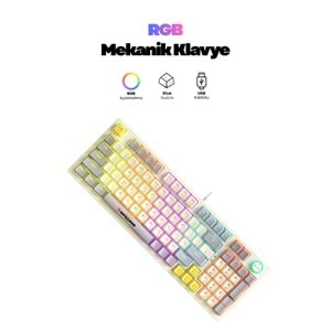 SPRANGE MK-12 Mekanik Gaming USB Q Klavye 9 Farklı RGB Aydınlatma Türkçe