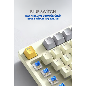 SPRANGE MK-12 Mekanik Gaming USB Q Klavye 9 Farklı RGB Aydınlatma Türkçe