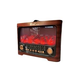 FP-821 Bt/Fm/Usb Speaker