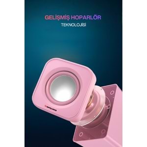 Sprange SR-PN99 2W*2 USB 2.0 + 3.5mm 5V Hoparlör Pembe