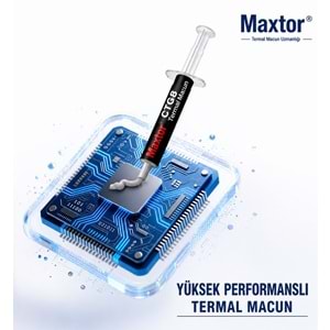 MAXTOR CTG8D Termal Macun 2Gr.