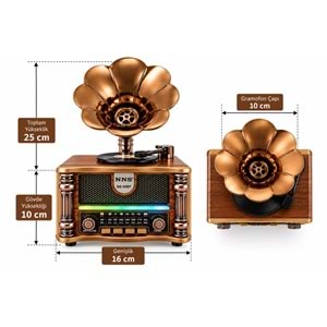 NS-08BT BT/FM/USB SPEAKER