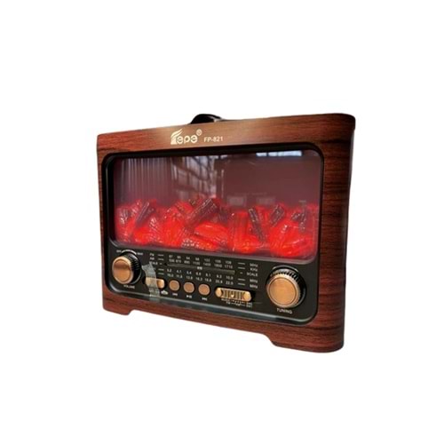FP-821 Bt/Fm/Usb Speaker