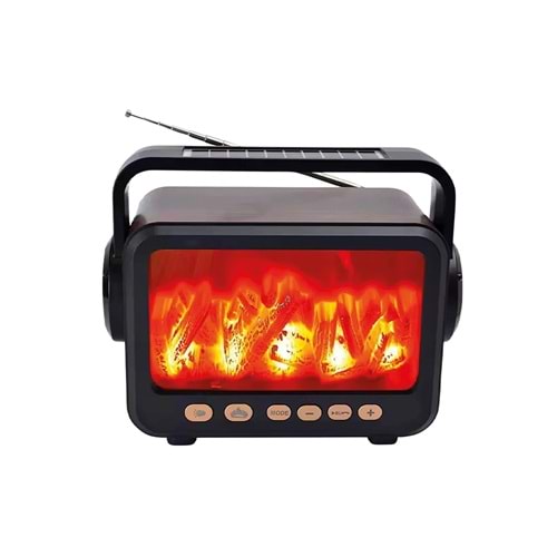 FP-337S Bt/Fm/Usb Speaker