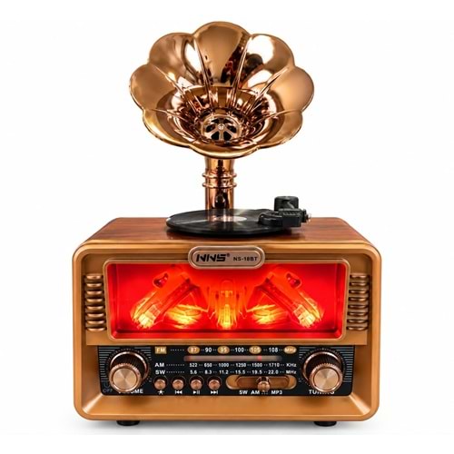 NS-18BT BT/FM/USB SPEAKER