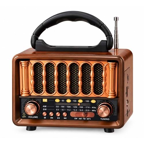 NS-17A BT/FM/USB SPEAKER