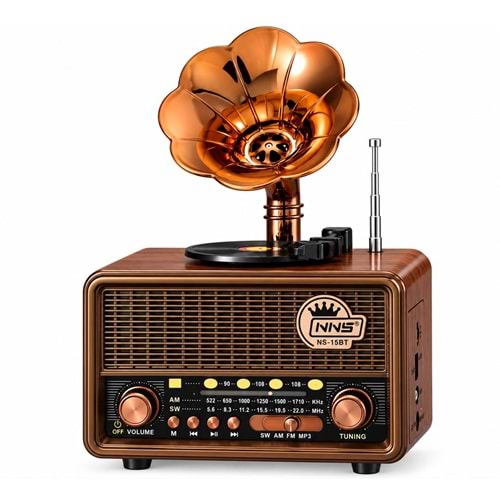 NS-15BT BT/FM/USB SPEAKER