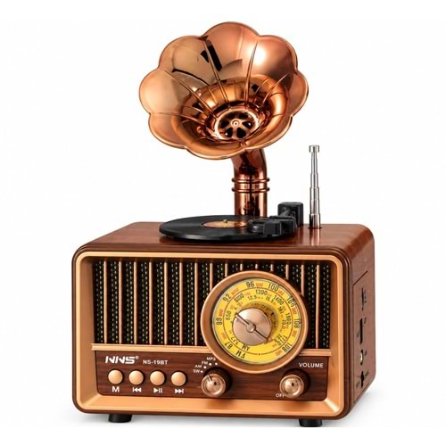 NS-19BT BT/FM/USB SPEAKER