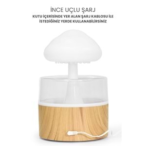 SHOAMI SH-N5 Aromalı Hava Nemlendirici 400 ML NEW