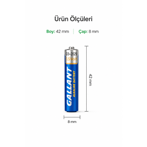 GALLANT LR61 1.5V Alkalin Batarya AAAA